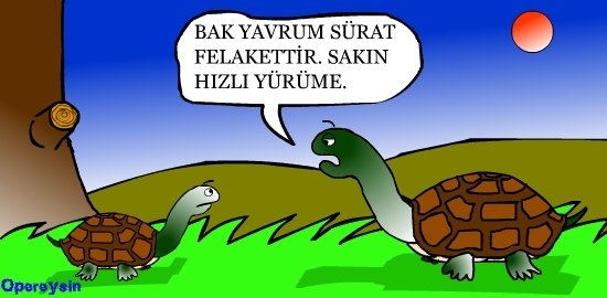 Sürat Felakettir!