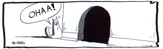 Fare deliği