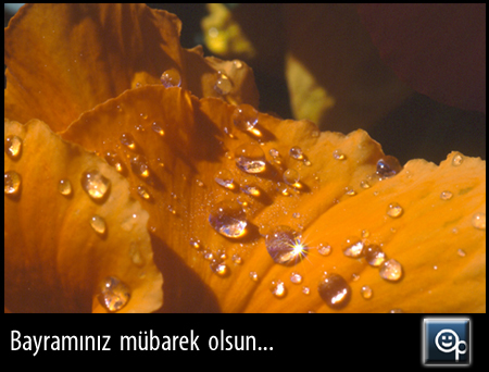 Bayram Tebriği